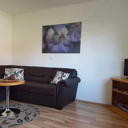 Apartment Serene In Falkenstein Near Farm And Museum Falkenstein (Vogtland)
